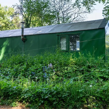 Ferien Tinyhaus Im Tale *