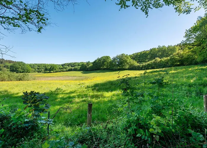 Дом отдыха Ferien Tinyhaus Im Tale *